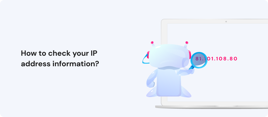 How to check your IP address information