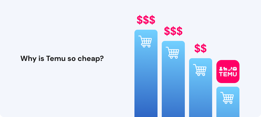 Why is Temu so cheap_