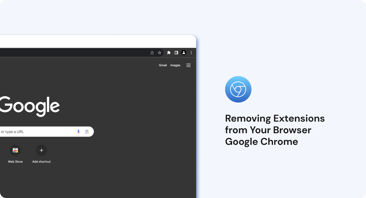 Removing Extensions from Your Browser Google Chrome